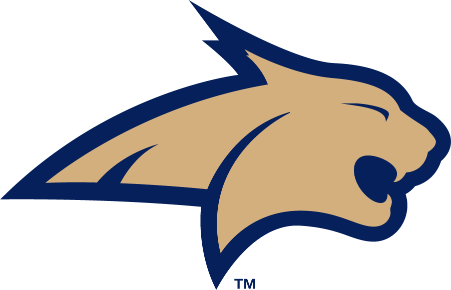 Montana State Bobcats 2006-2013 Primary Logo DIY iron on transfer (heat transfer)